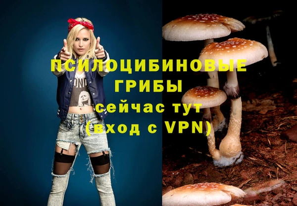 ПСИЛОЦИБИНОВЫЕ ГРИБЫ Магадан