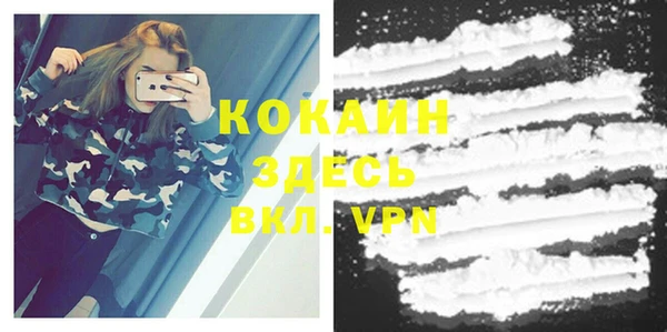 эйфоретик Майский