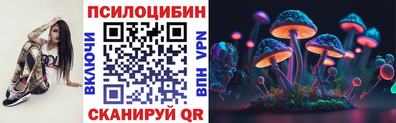 Псилоцибиновые грибы Psilocybine cubensis  Нелидово 
